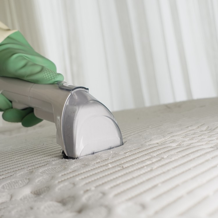 Cleaning Services in Lawrenceville, GA